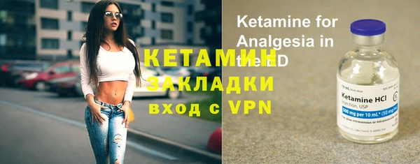 индика Бронницы