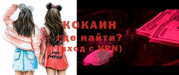 индика Бронницы