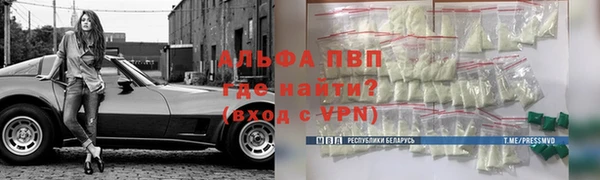 индика Бронницы