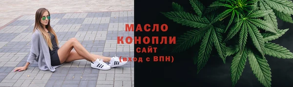 индика Бронницы