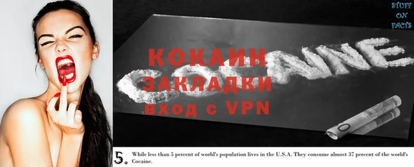 прущие грибы Бородино