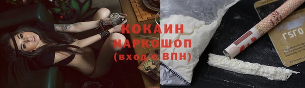 прущие грибы Бородино