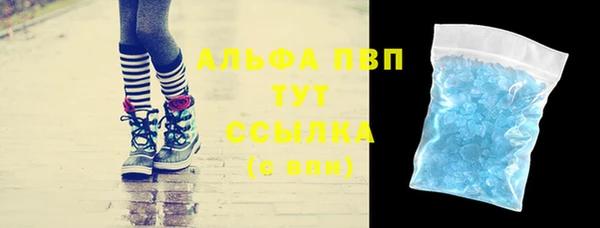 индика Бронницы