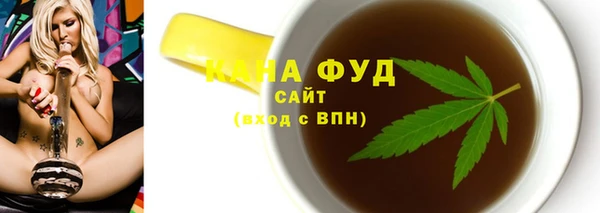 индика Бронницы