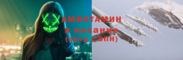 прущие грибы Бородино