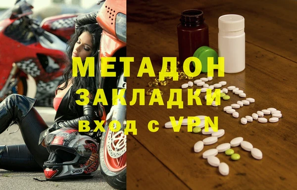 прущие грибы Бородино