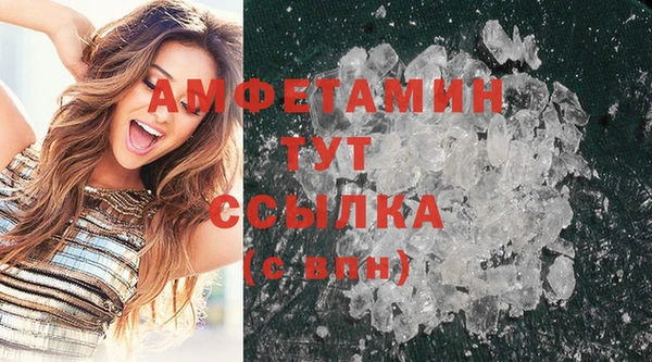 индика Бронницы