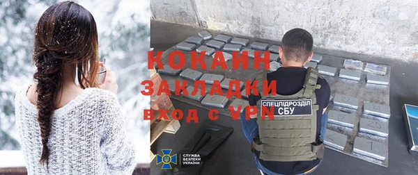 индика Бронницы