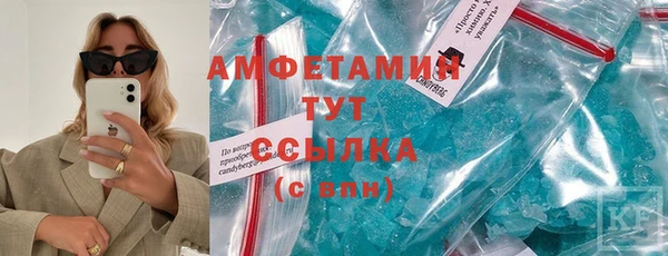 прущие грибы Бородино