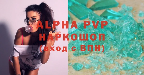 индика Бронницы