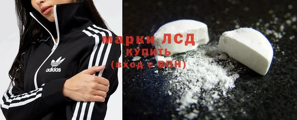 прущие грибы Бородино