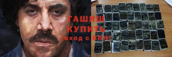 индика Бронницы