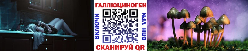 mega ссылка  Мостовской  Галлюциногенные грибы Psilocybine cubensis 